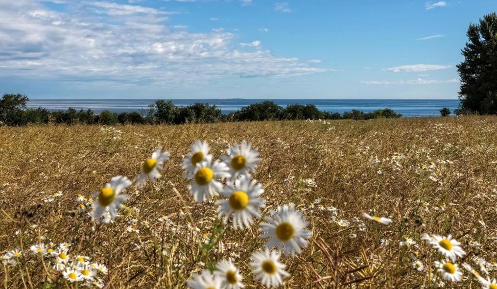 Bornholm Apartments Svaneke Zewnętrze zdjęcie