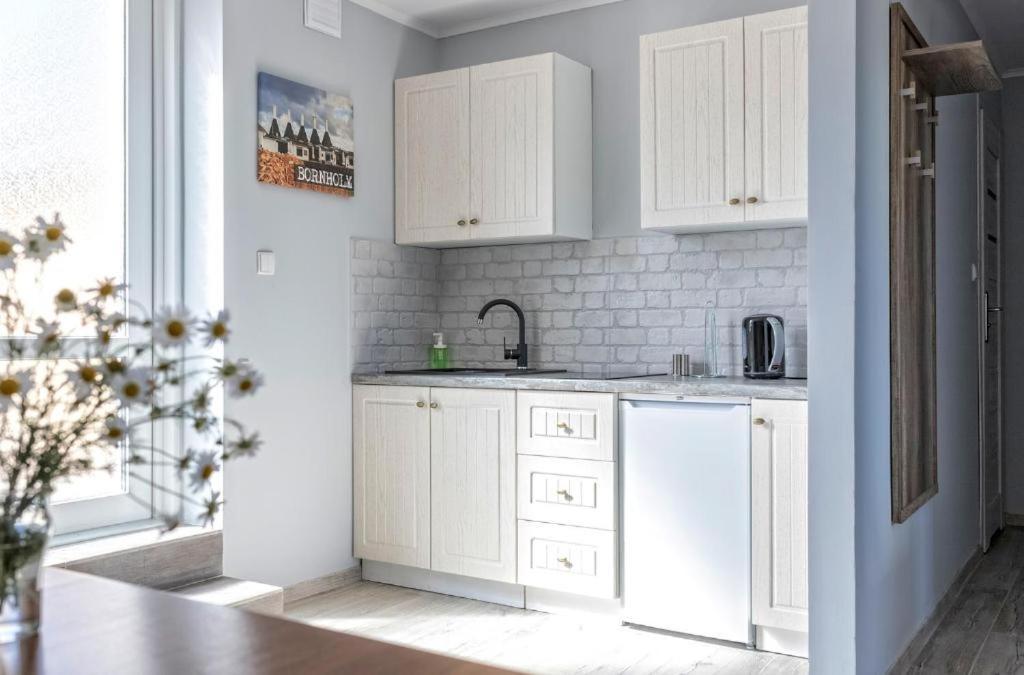 Bornholm Apartments Svaneke Zewnętrze zdjęcie