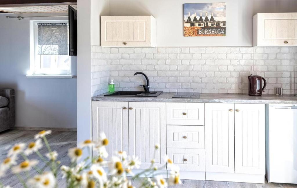 Bornholm Apartments Svaneke Zewnętrze zdjęcie